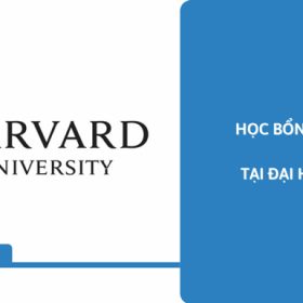 Nổ lực dành học bổng Đại học Harvard