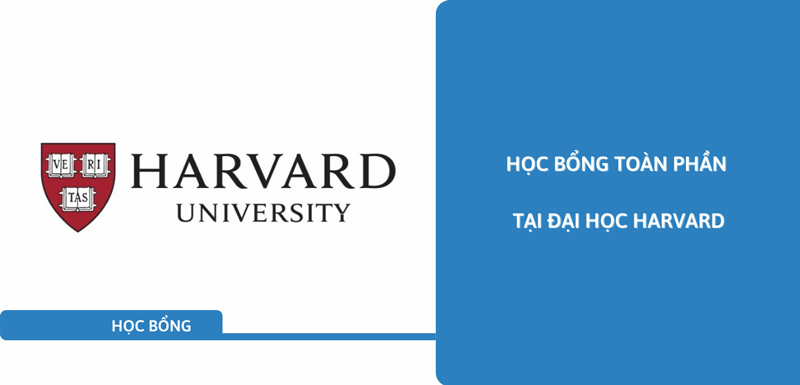 Nổ lực dành học bổng Đại học Harvard